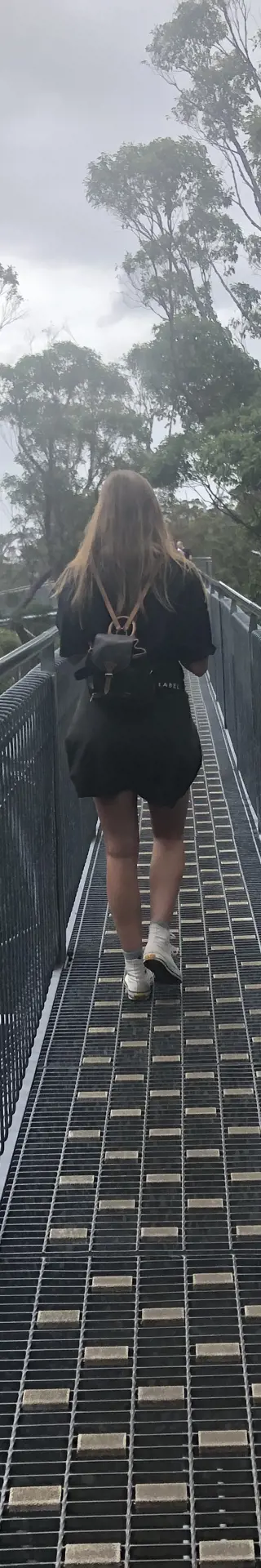 Tree Top Walk